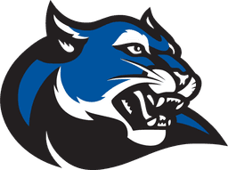Culver-Stockton College banner logo